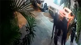 Policía Nacional apresó a tres integrantes de banda que asaltó a ciudadano en Los Frailes