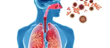 Salud: cinco virus respiratorios circulan en RD