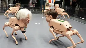 Perros robóticos con rostros de Musk, Bezos y Picasso acaparan la atención en Art Basel