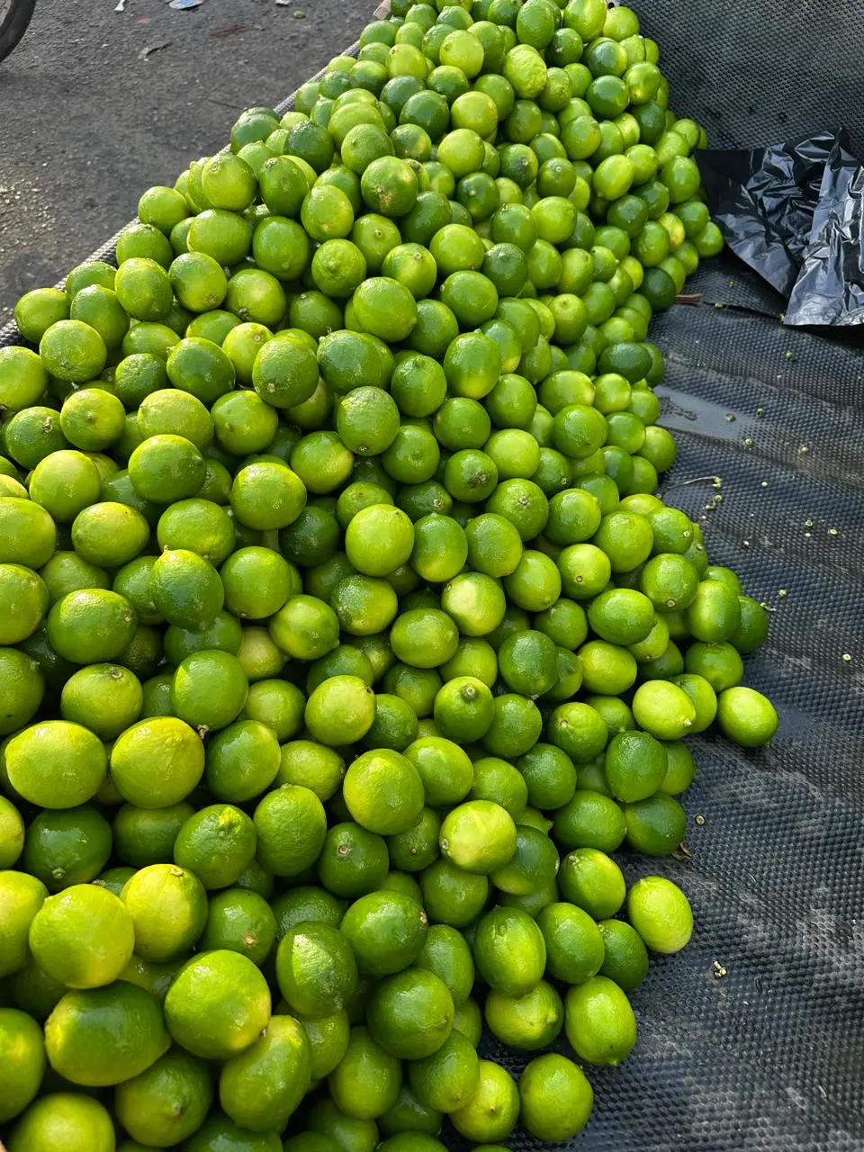 Parte de la producción