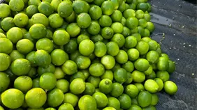 El Clúster del Limón solicita una revisión urgente de la política de permisos de importación