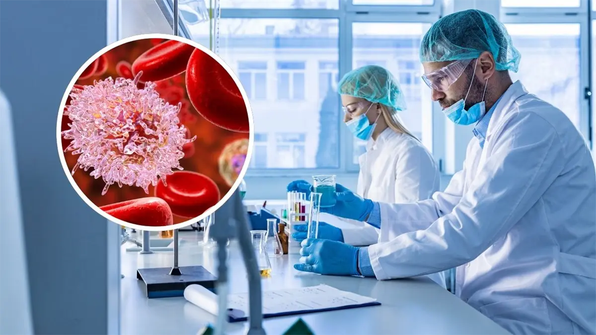 Científicos desarrollan una nueva terapia para la leucemia linfoblástica aguda de células T