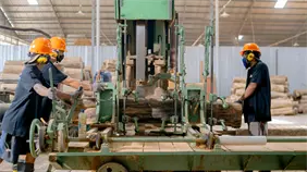 AIRD reporta crecimiento en la actividad manufacturera: IMAM de noviembre sube a 59.42 AIRD reporta crecimiento en la actividad manufacturera: IMAM de noviembre sube a 59.42