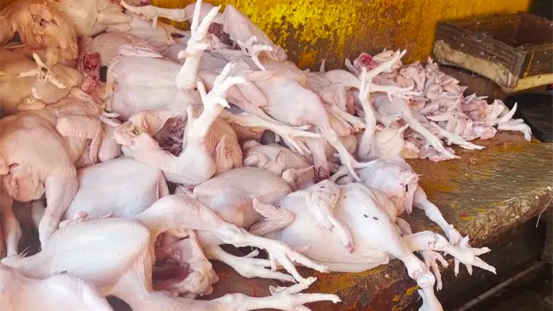 Precio del pollo sigue entre RD$90 y RD$100 en Moca; alertan posible escasez en diciembre