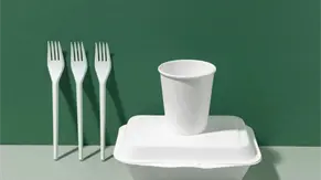 RD acelera transición hacia la eliminación del foam mientras el Senado afina nueva legislación ambiental