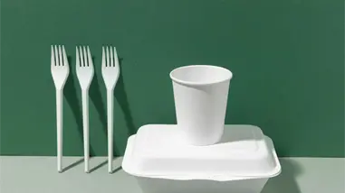 RD acelera transición hacia la eliminación del foam mientras el Senado afina nueva legislación ambiental RD acelera transición hacia la eliminación del foam mientras el Senado afina nueva legislación ambiental