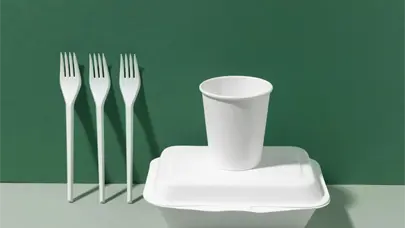 RD acelera transici&oacute;n hacia la eliminaci&oacute;n del foam mientras el Senado afina nueva legislaci&oacute;n ambiental