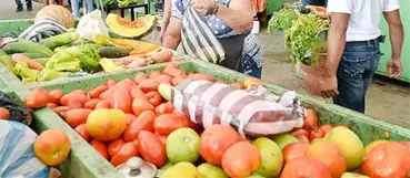 El alza se mantiene en la canasta familiar, seg&uacute;n el Banco Central 