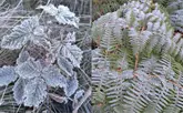 Hielo y escarchas por bajas temperaturas en Valle Nuevo, Constanza