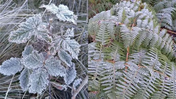 Hielo y escarchas por bajas temperaturas en Valle Nuevo, Constanza