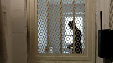 China condena a pena de muerte en suspenso a un exdirigente regional por aceptar sobornos