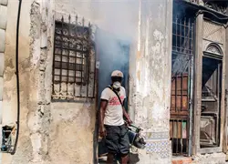 Cuba eleva a 52 los muertos por dengue y chikunguya, tras cinco nuevos fallecidos