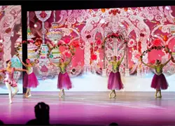 Ministerio de Cultura presenta dos funciones gratuitas de Fantas&iacute;a de Navidad