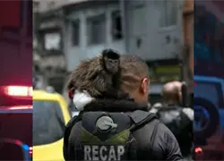 Un mono es conducido a una comisaría por robar y causar trastornos en una ciudad brasileña