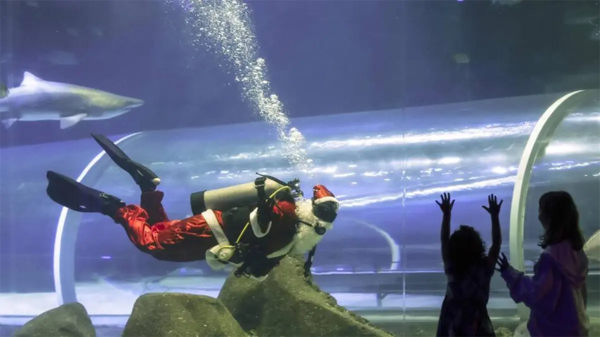 Papá Noel celebra la Navidad en Brasil rodeado de tiburones
