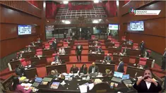 Senado aprueba a toda prisa emisión de deuda por más de RD$401 mil millones para cubrir presupuesto 2026