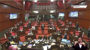 Senado aprueba a toda prisa emisión de deuda por más de RD$401 mil millones para cubrir presupuesto 2026