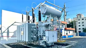 Edesur pone en servicio nuevo transformador de potencia en subestaci&oacute;n Para&iacute;so del DN