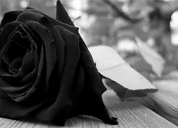 Muere un obrero dominicano  en Puerto Rico por miedo a ir  al hospital y ser deportado