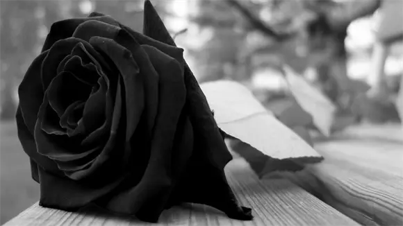 Muere un obrero dominicano  en Puerto Rico por miedo a ir  al hospital y ser deportado