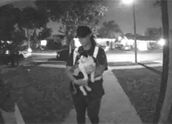 Repartidor de Amazon roba un gato mientras hace una entrega