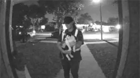 Repartidor de Amazon roba un gato mientras hace una entrega