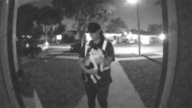Repartidor de Amazon roba un gato mientras hace una entrega