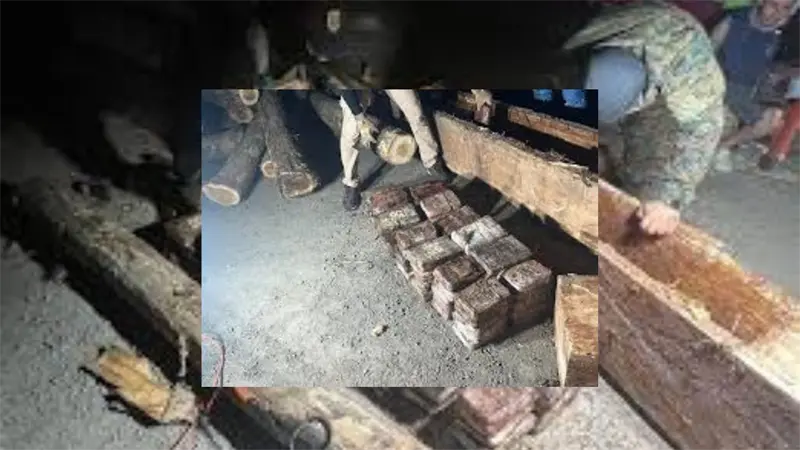 Hallan 220 paquetes de droga ocultos en troncos de madera en Panam&aacute;