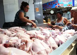 Libra de pollo sobrepasa los 100 pesos por escasez 