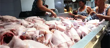 Libra de pollo sobrepasa los 100 pesos por escasez 