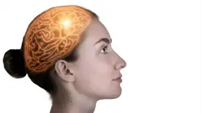 La anatom&iacute;a cerebral que integra la visi&oacute;n o la memoria se define antes de nacer
