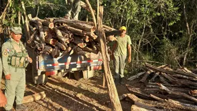 Senpa y Medio Ambiente incautan 831 unidades de postes y trozas de madera