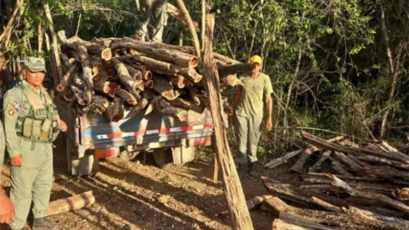 Senpa y Medio Ambiente incautan 831 unidades de postes y trozas de madera
