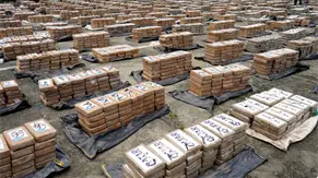 Hallan tres toneladas de droga en una finca de un municipio en Ecuador