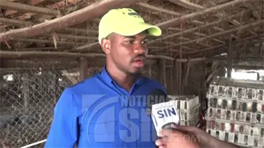 Escasez y altos precios del pollo afectan a vendedores del mercado fronterizo de Dajabón Escasez y altos precios del pollo afectan a vendedores del mercado fronterizo de Dajabón