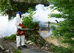 Rep&uacute;blica Dominicana cierra 2025 con cero muertes por dengue y reducci&oacute;n hist&oacute;rica de casos