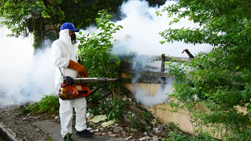 Rep&uacute;blica Dominicana cierra 2025 con cero muertes por dengue y reducci&oacute;n hist&oacute;rica de casos