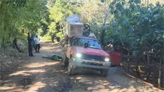 Dos personas mueren electrocutadas tras ca&iacute;da de cable el&eacute;ctrico sobre su veh&iacute;culo en Gaspar Hern&aacute;ndez