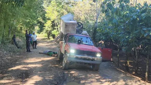 Dos personas mueren electrocutadas tras ca&iacute;da de cable el&eacute;ctrico sobre su veh&iacute;culo en Gaspar Hern&aacute;ndez