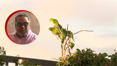 Perico House: Un Refugio de vida y esperanza en Santo Domingo