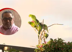 Perico House: Un Refugio de vida y esperanza en Santo Domingo