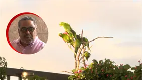 Perico House: Un Refugio de vida y esperanza en Santo Domingo