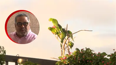 Perico House: Un Refugio de vida y esperanza en Santo Domingo