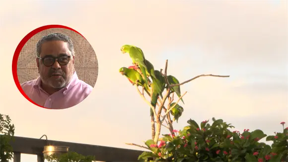 Perico House: Un Refugio de vida y esperanza en Santo Domingo