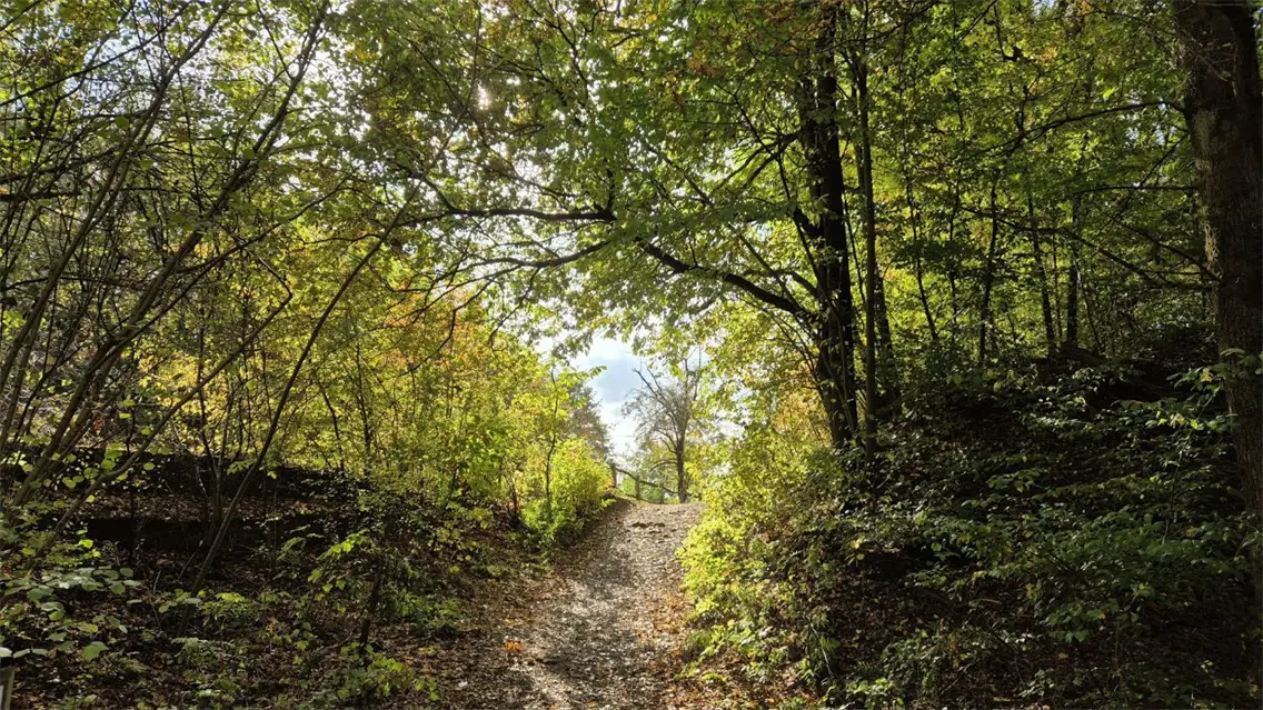 Ambiente estable y temperaturas agradables, es el pron&oacute;stico de Indomet para hoy