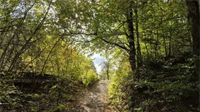 Ambiente estable y temperaturas agradables, es el pron&oacute;stico de Indomet para hoy