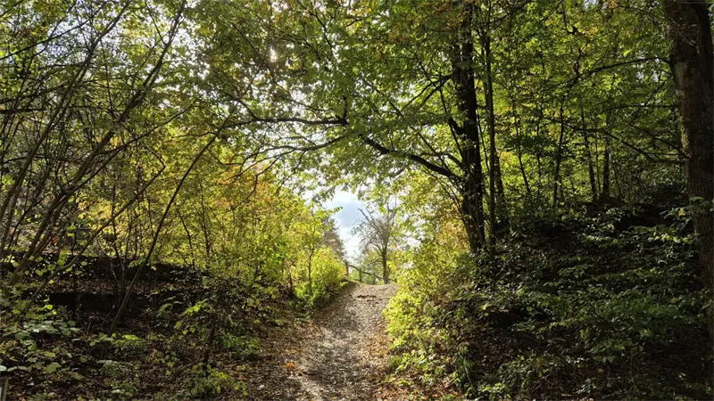 Ambiente estable y temperaturas agradables, es el pron&oacute;stico de Indomet para hoy