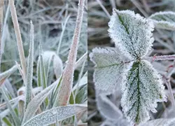 &iexcl;El fr&iacute;o contin&uacute;a en Constanza! Bajas temperaturas arropan a Valle Nuevo
