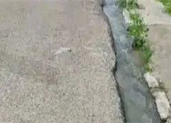 Denuncian escape de agua y deterioro vial en distintos sectores del Gran Santo Domingo