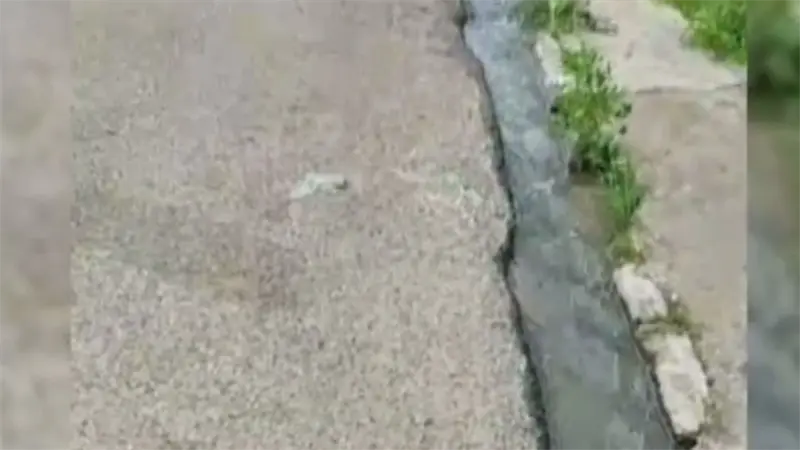 Denuncian escape de agua y deterioro vial en distintos sectores del Gran Santo Domingo